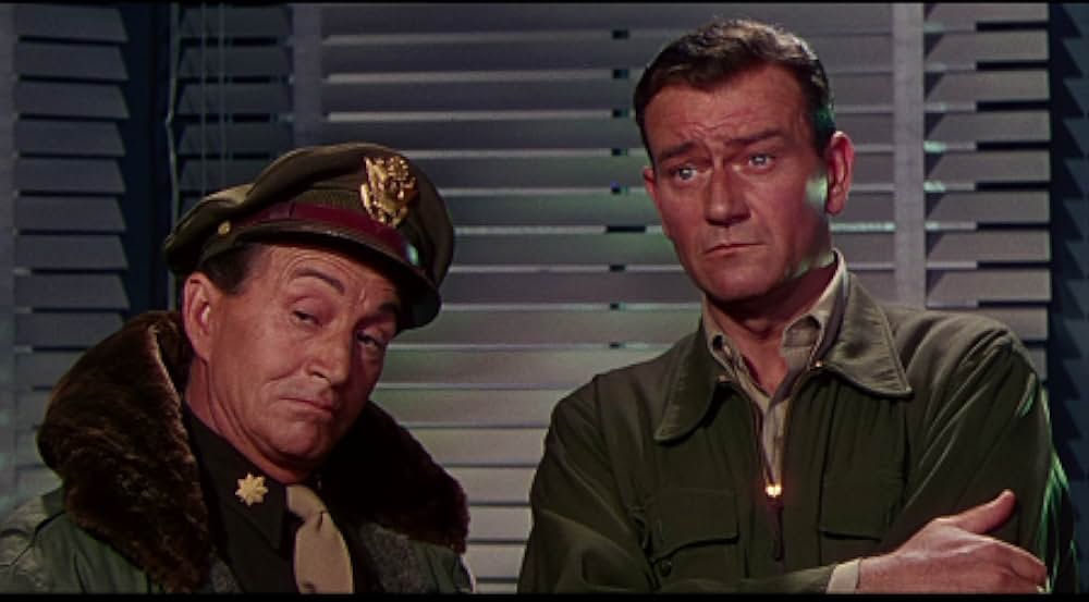 ジェット・パイロットの画像