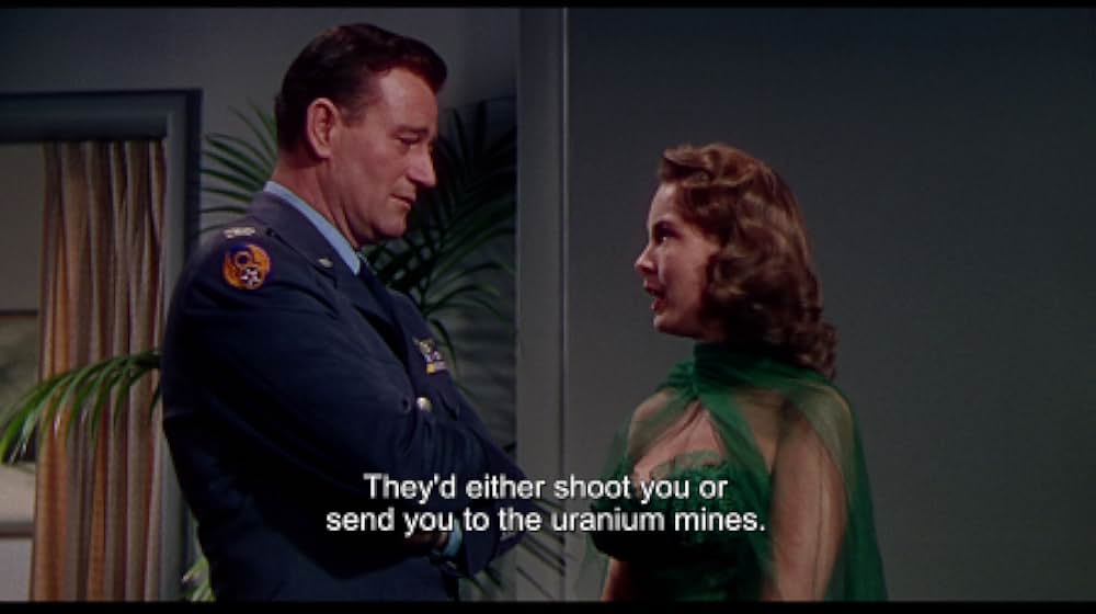 ジェット・パイロットの画像