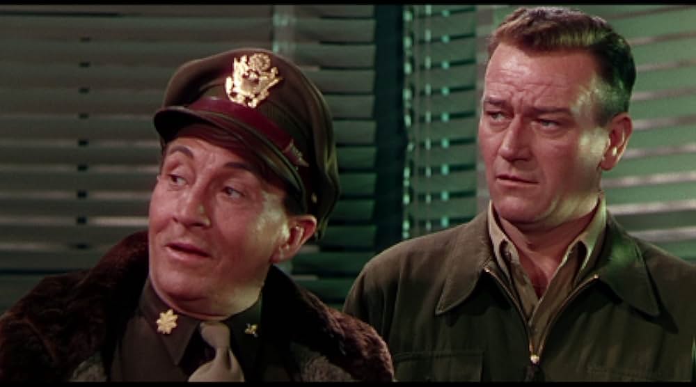 ジェット・パイロットの画像