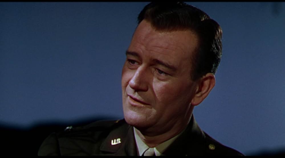 ジェット・パイロットの画像