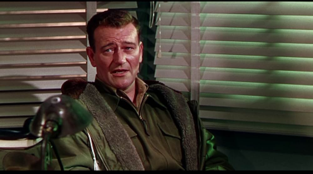 ジェット・パイロットの画像