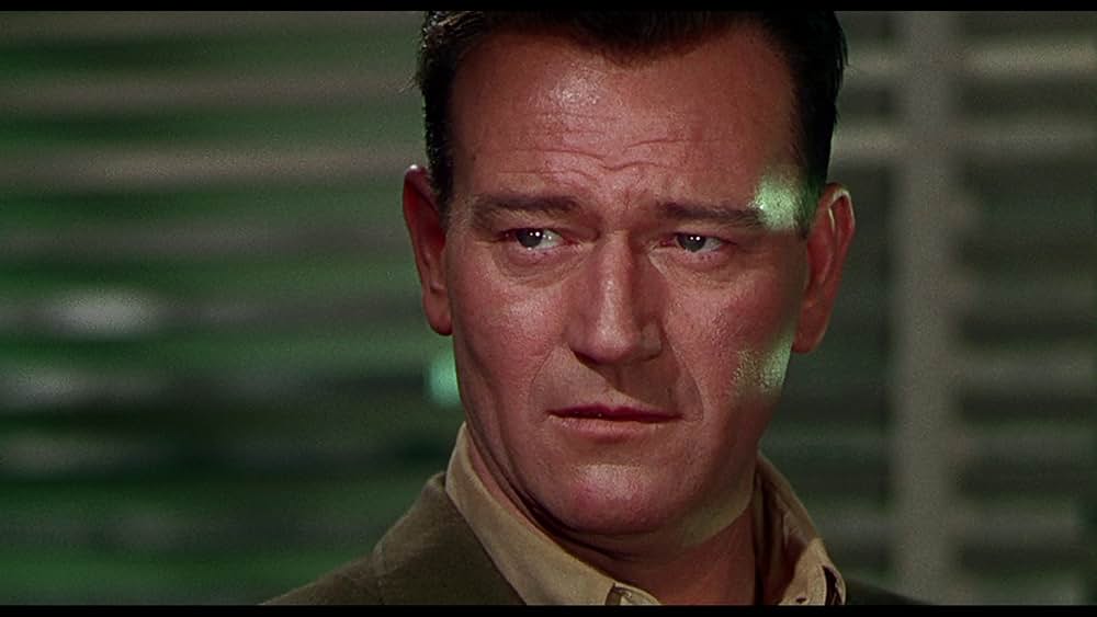 ジェット・パイロットの画像