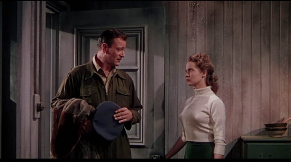 ジェット・パイロットの画像