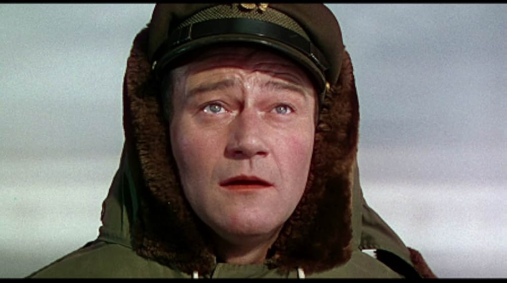 ジェット・パイロットの画像