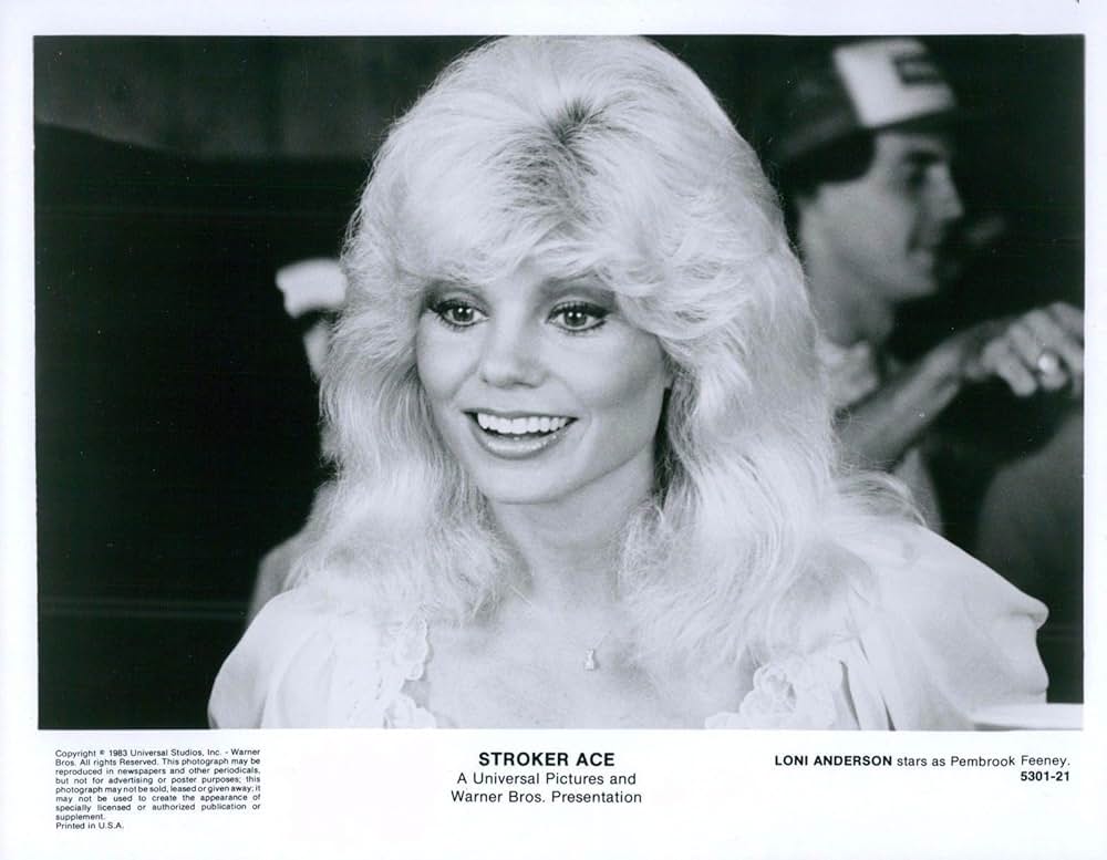 ストローカーエースの画像