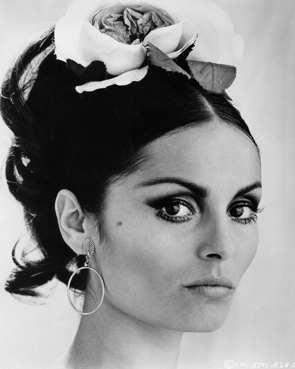 サイレンサー／沈黙部隊の画像