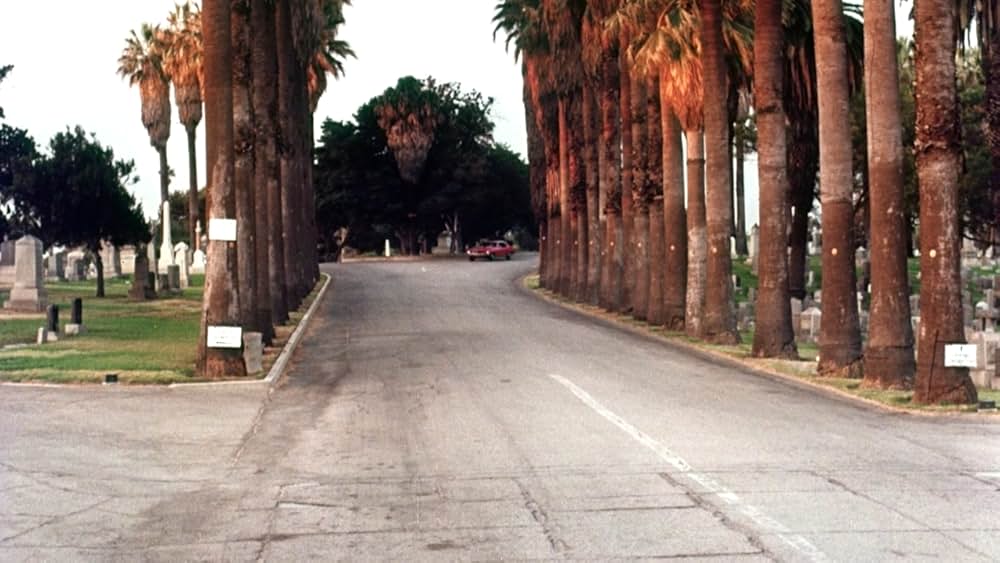 吸精鬼／ワン・ダーク・ナイトの画像