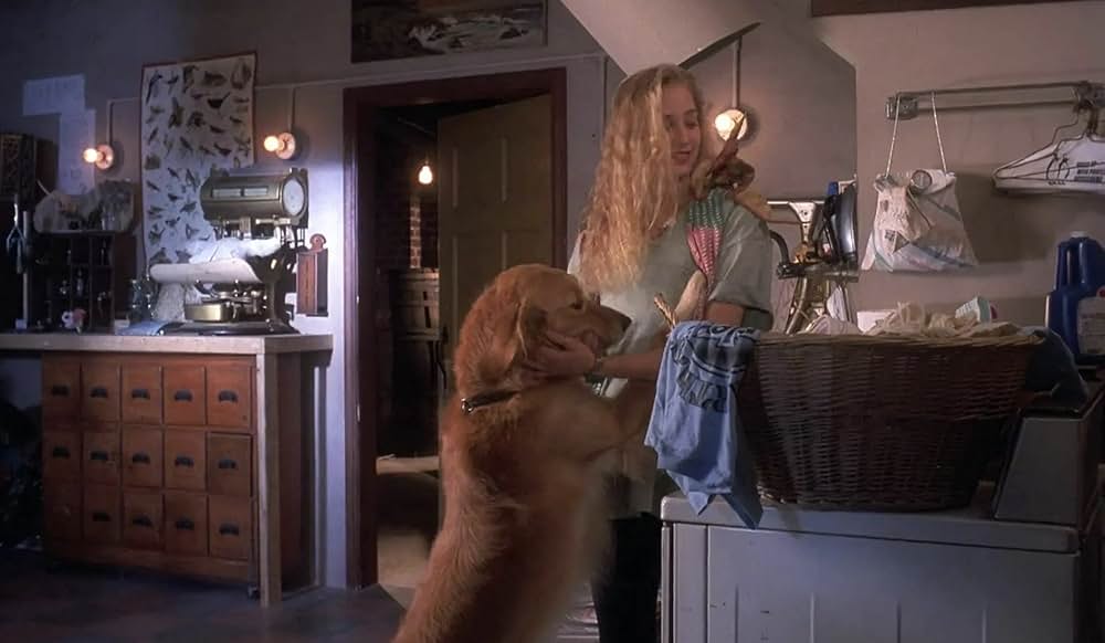 ジュラシック・キッズの画像