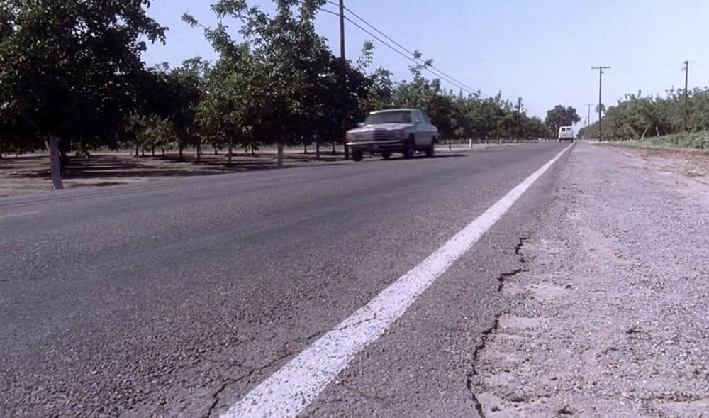 ジュラシック・キッズの画像