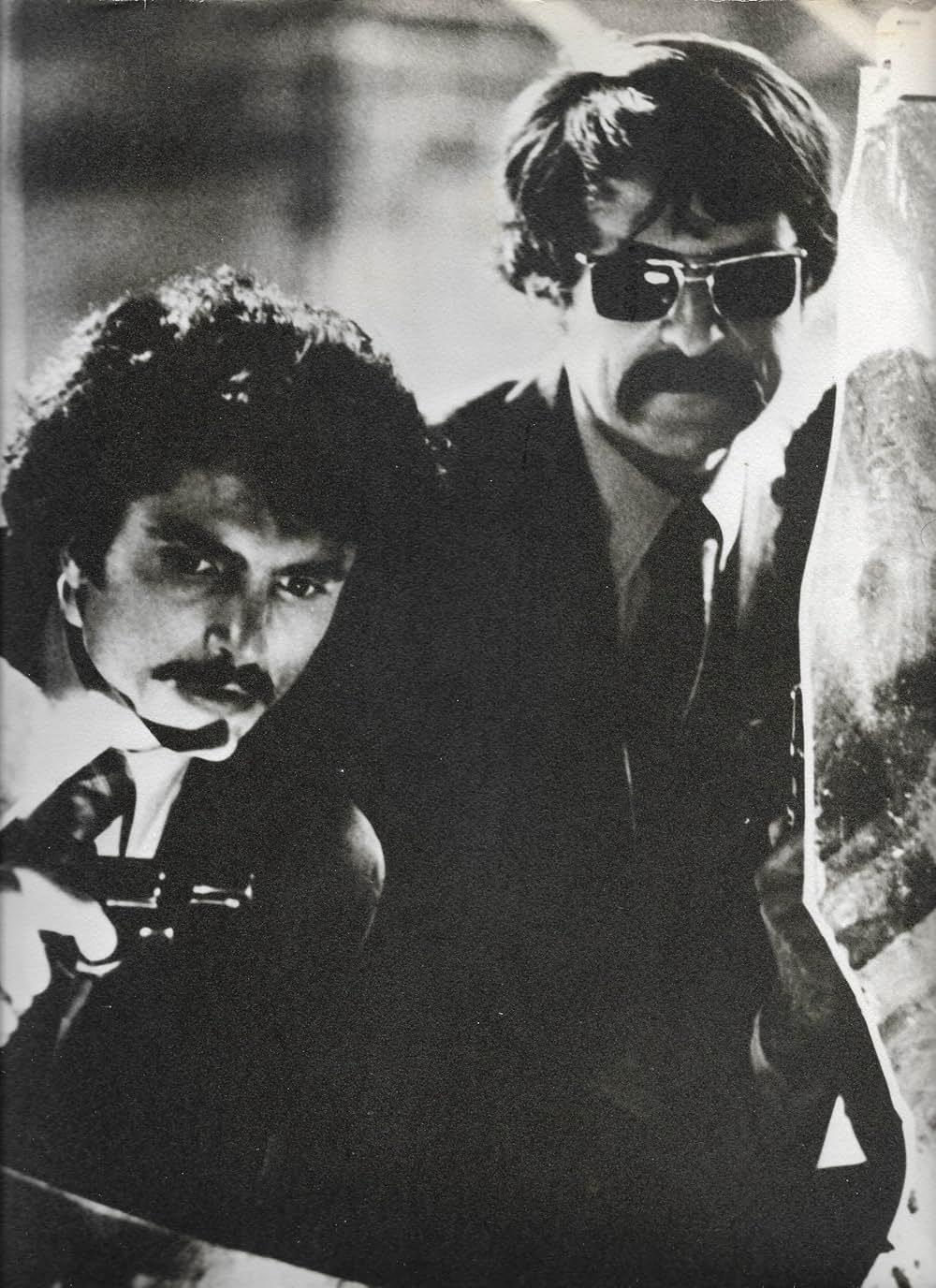 バッジ373の画像