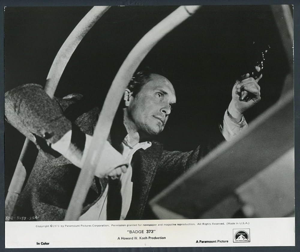 バッジ373の画像