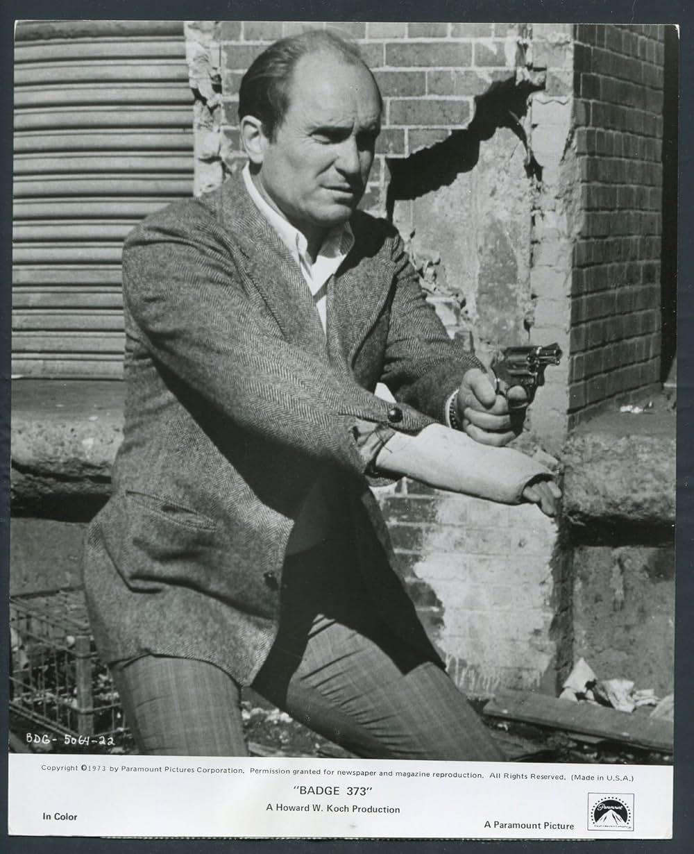 バッジ373の画像