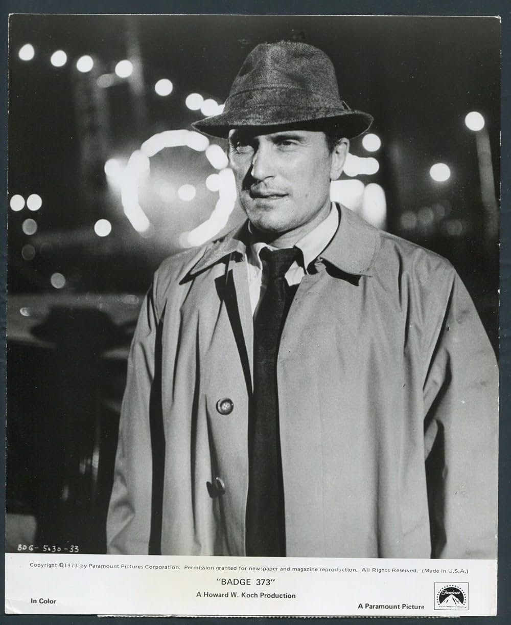 バッジ373の画像