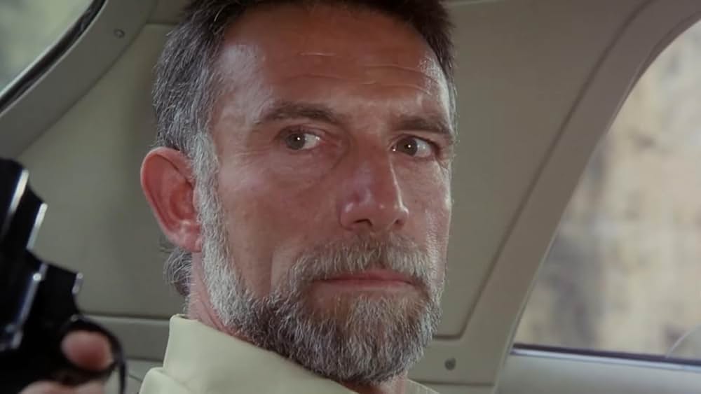 リベンジャーの画像