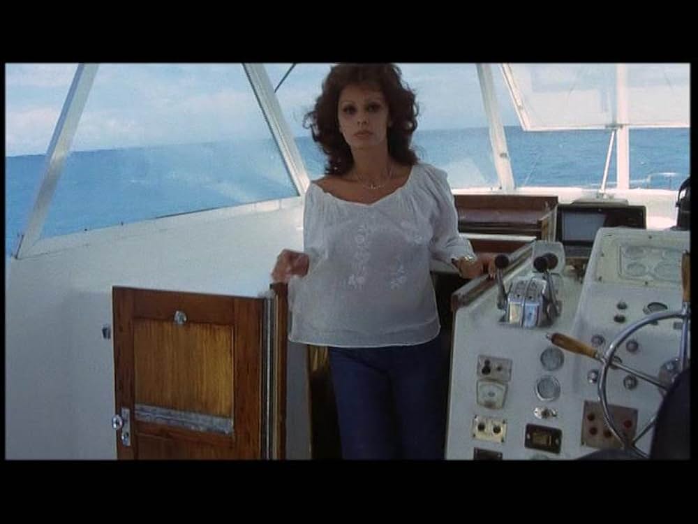 リベンジャーの画像