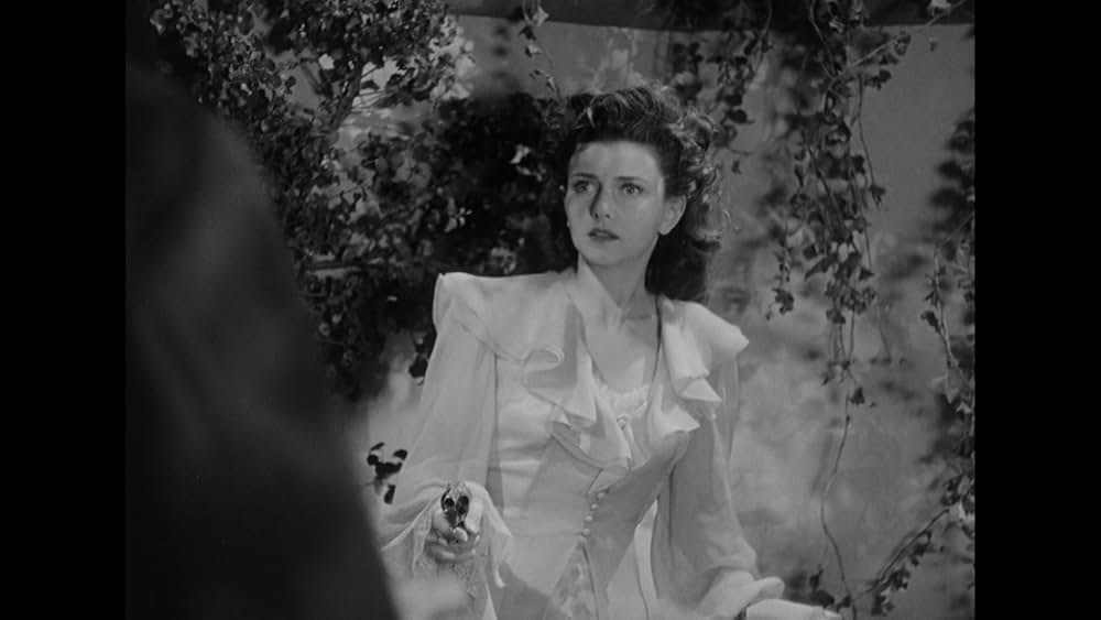 怪談パリの化け猫の画像