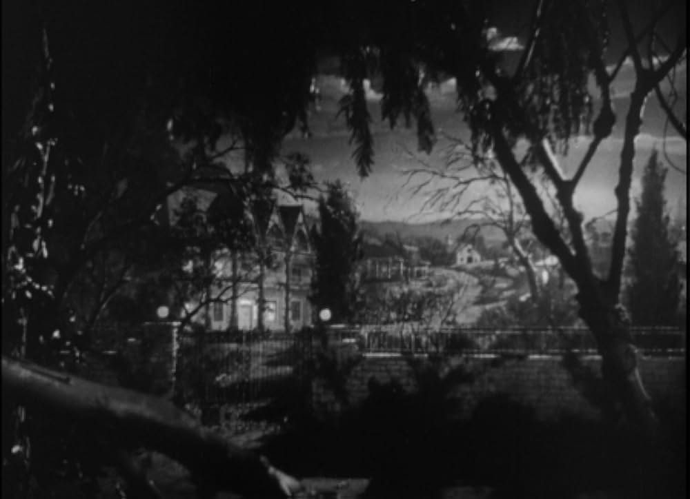 怪談パリの化け猫の画像