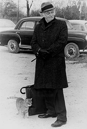 「ハリーとトント」アート・カーニーの画像