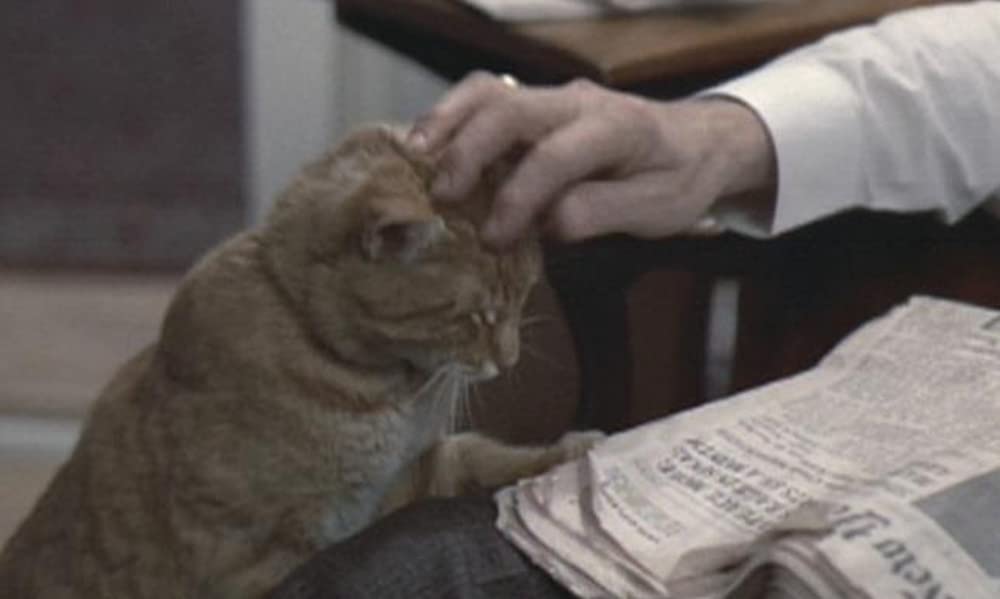 ハリーとトントの画像