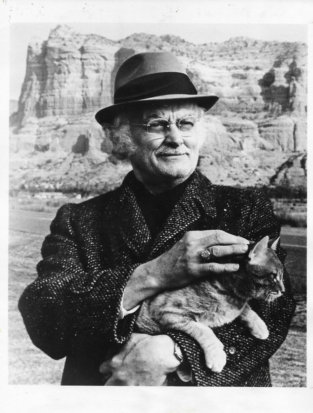 ハリーとトントの画像