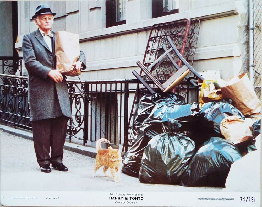 ハリーとトントの画像