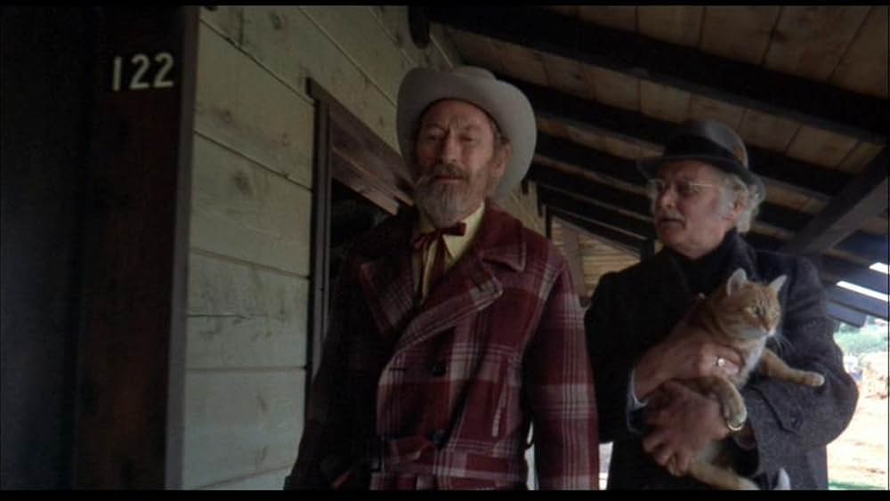 ハリーとトントの画像