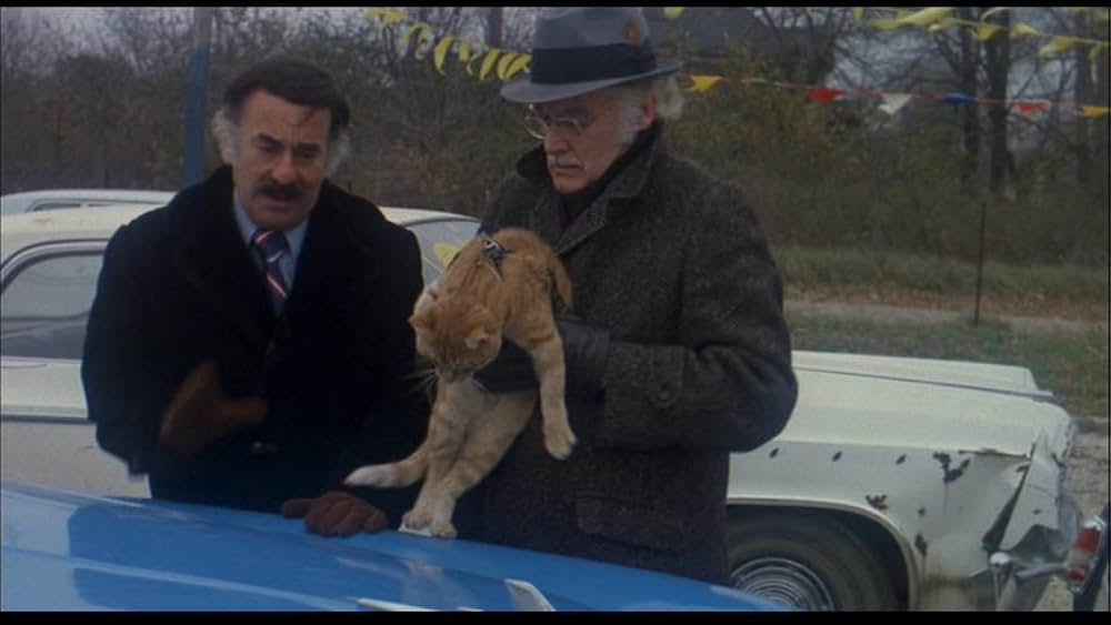 ハリーとトントの画像