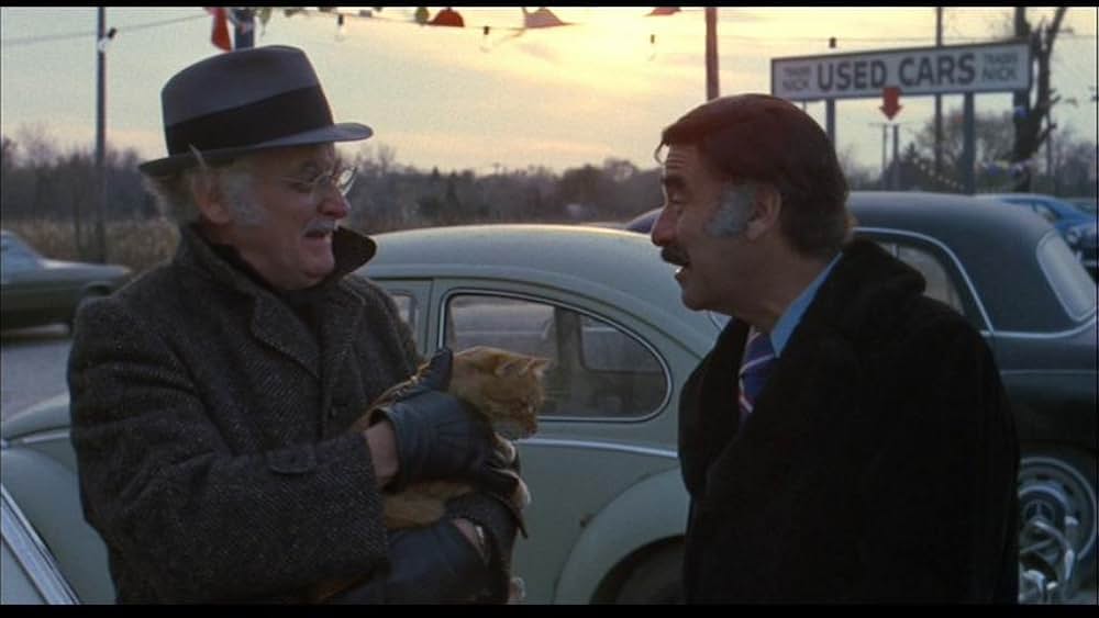 ハリーとトントの画像