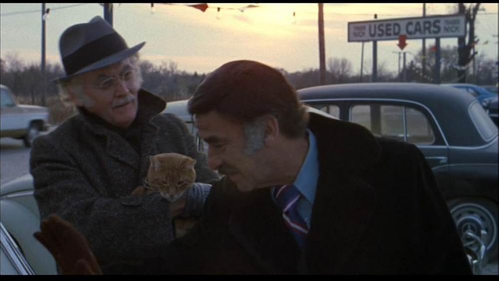 ハリーとトントの画像