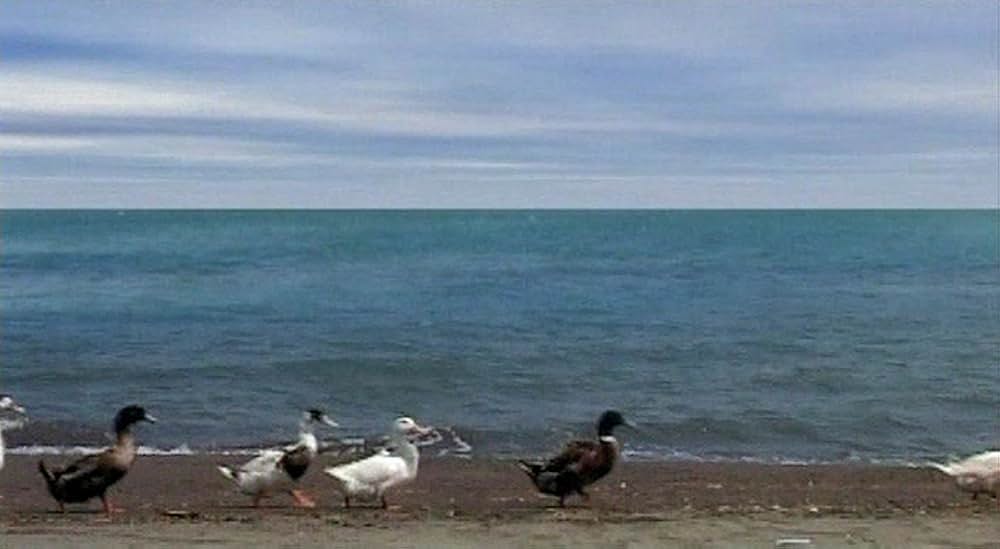 5 five〜小津安二郎に捧げる〜の画像