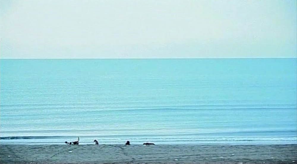 5 five〜小津安二郎に捧げる〜の画像