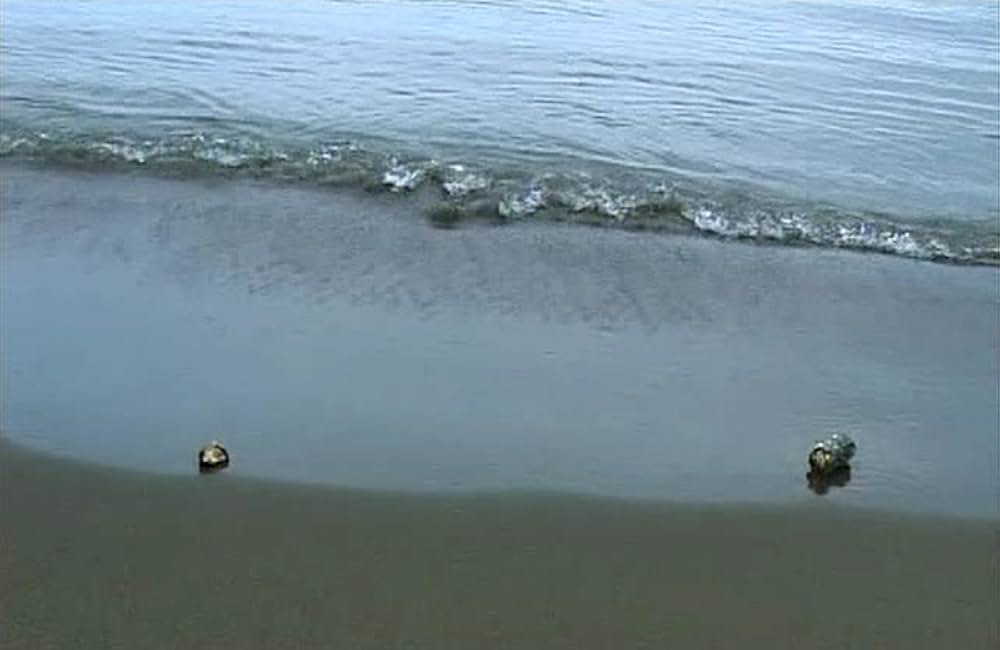 5 five〜小津安二郎に捧げる〜の画像