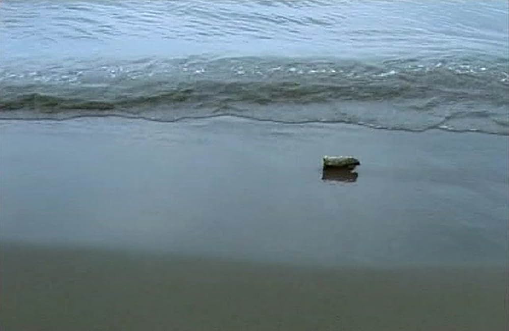 5 five〜小津安二郎に捧げる〜の画像