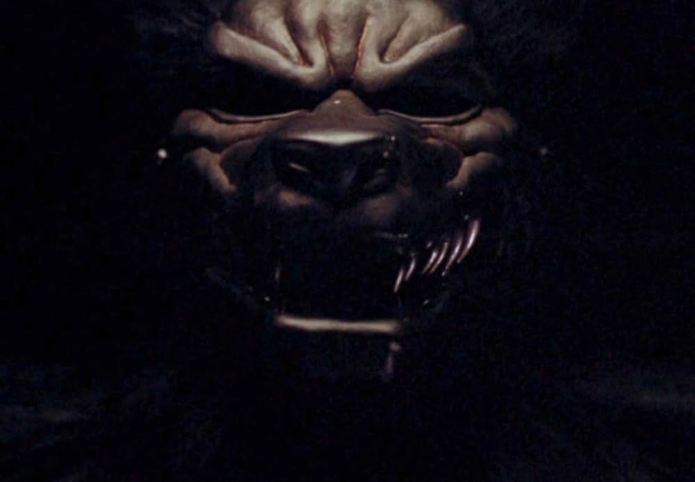 赤ずきんの森の画像