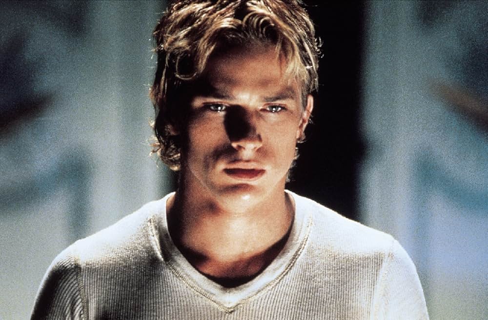 赤ずきんの森の画像