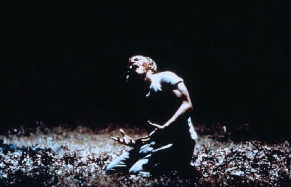 赤ずきんの森の画像