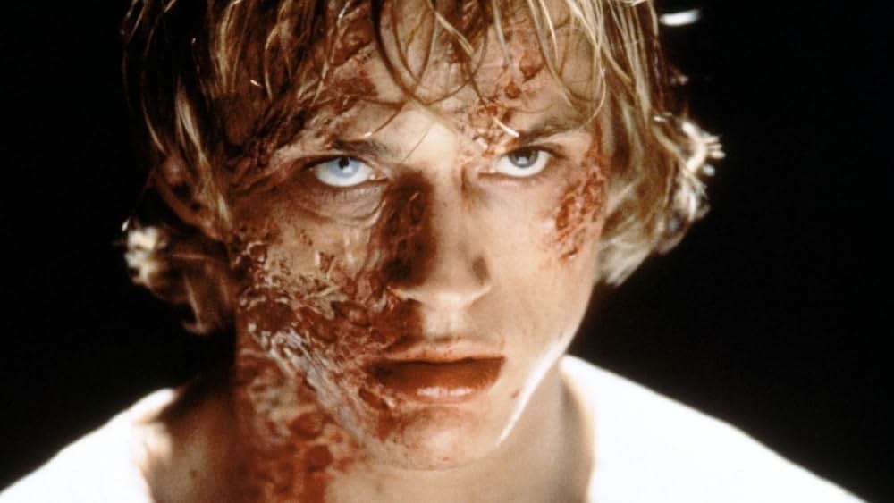 赤ずきんの森の画像