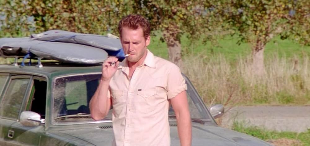 ワイルド・ストレンジャーの画像