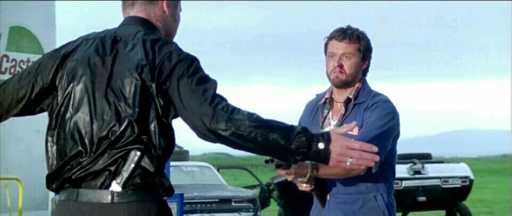 ワイルド・ストレンジャーの画像