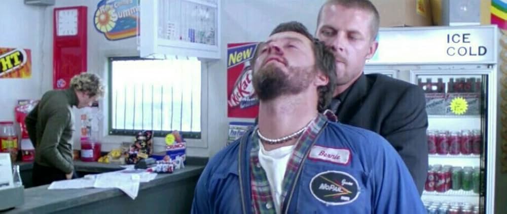 ワイルド・ストレンジャーの画像