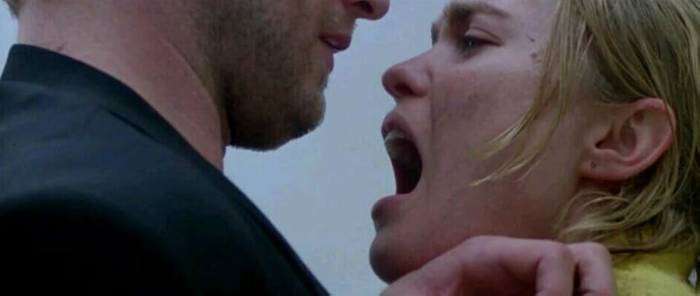 ワイルド・ストレンジャーの画像