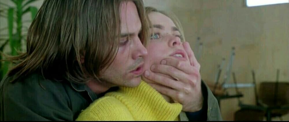 ワイルド・ストレンジャーの画像