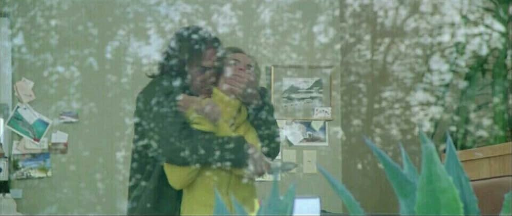 ワイルド・ストレンジャーの画像