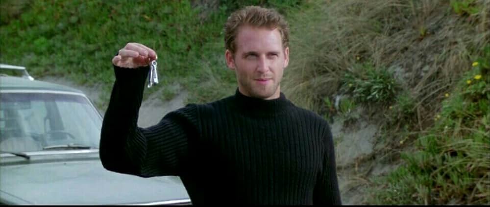 ワイルド・ストレンジャーの画像