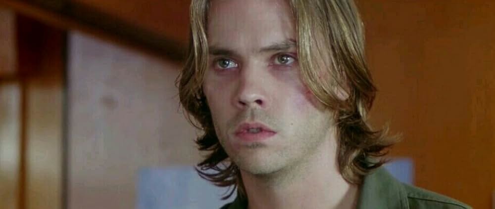 ワイルド・ストレンジャーの画像