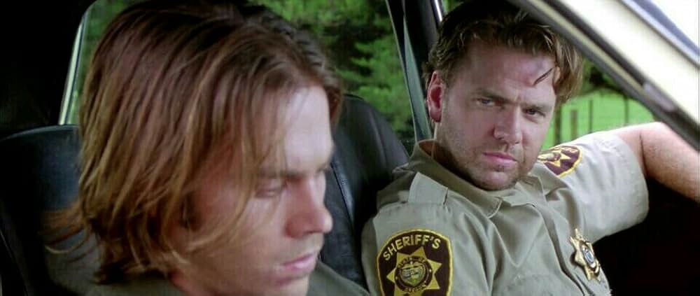 ワイルド・ストレンジャーの画像