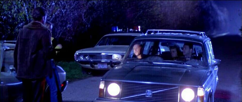 ワイルド・ストレンジャーの画像