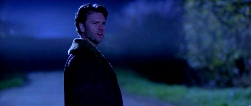 ワイルド・ストレンジャーの画像