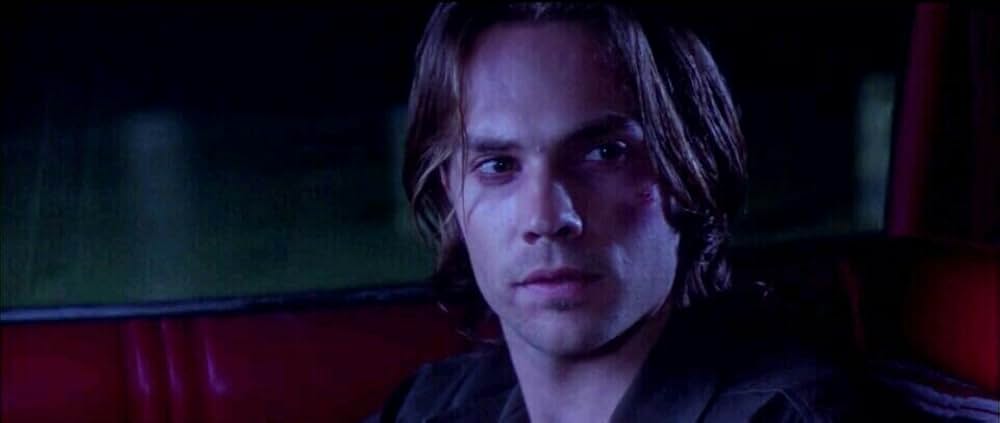 ワイルド・ストレンジャーの画像