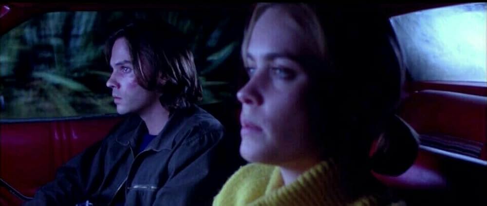 ワイルド・ストレンジャーの画像